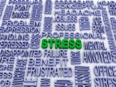 Good Stress versus Bad Stress: What’s the Difference?Authentic ...