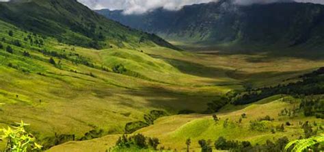 Bukit Teletubbies Di Gunung Bromo Royal Tour Bromo