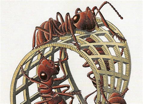 Mc Escher Print Mobius Strip Ii Red Ants Etsy
