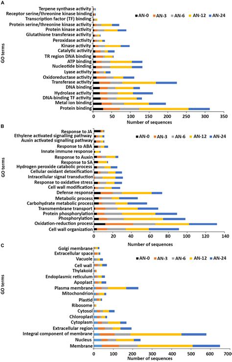 Gene Ontology Go Enrichment Analysis Of Differentially Expressed