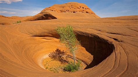 Rocky Landscape Dance Hall Rock Grand Staircase Escalante National