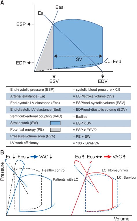 Pressure Volume Loops Of The Left Ventricle Lv A Measurements Of