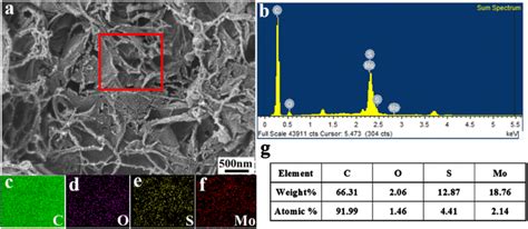 Sem Image A Eds Spectra Of The Elements B And The Corresponding Download Scientific