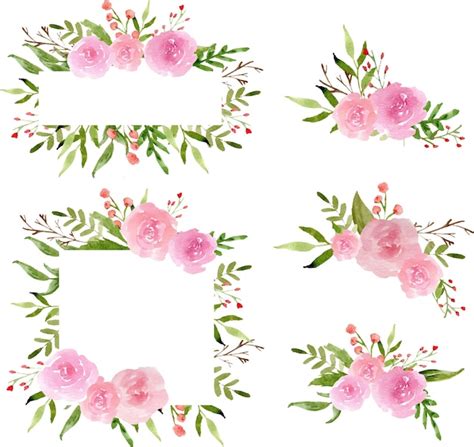 Premium Vector Watercolor Pink Rose Wreath And Arrangement