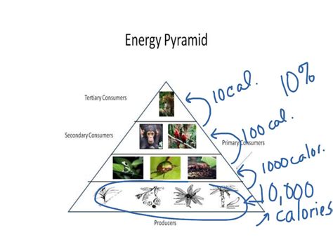 Empty Energy Pyramid Energy Etfs