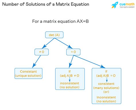 Matrix Equation - Examples | How to Solve Matrix Equation?