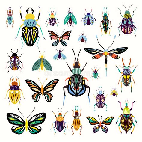 Big Vector Collection Of Insects Stock Vector Illustration Of