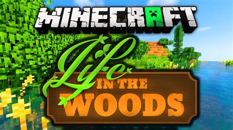 Minecraft Life In The Woods Installieren Mit Shader Youtube