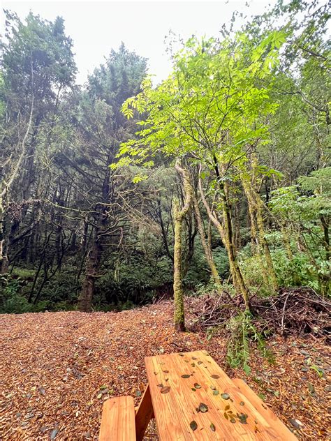 Camping on the Oregon Coast: Best Oregon Coast Campgrounds 2026 | Hipcamp