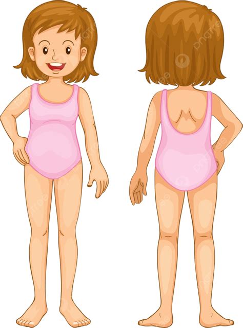 Parte Del Cuerpo Anatomía Niña Persona Médica Vector Png Dibujos Chica Persona Medica