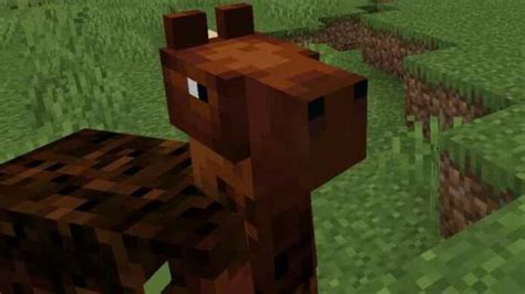 Que Mangent Les Chevaux Dans Minecraft R Pondu