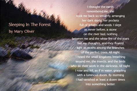 Sleeping In The Forest Poem By Mary Oliver Mary Oliver Mary Oliver