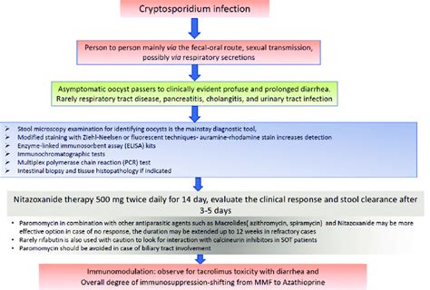 Stepwise Approach And Treatment Of Cryptosporidium Infection Download Scientific Diagram