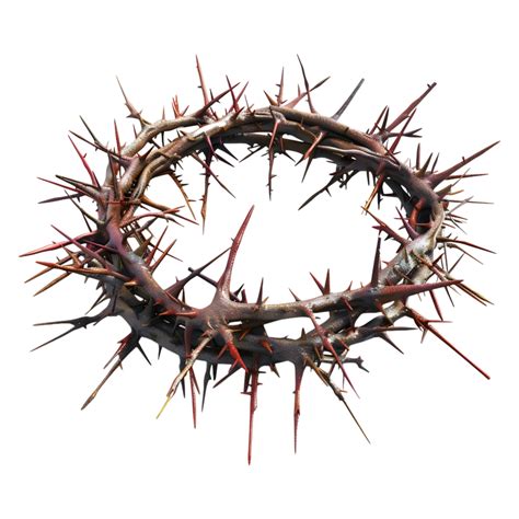 Crown Thorns On Transparent Background 44641780 Png