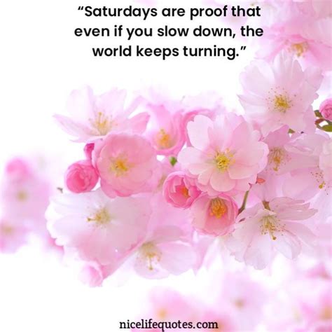 Saturday Morning Quotes