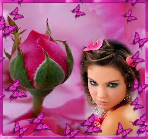 Marialedesma1958 S Girly Girl Frames 2012 January Pink Rose Bud