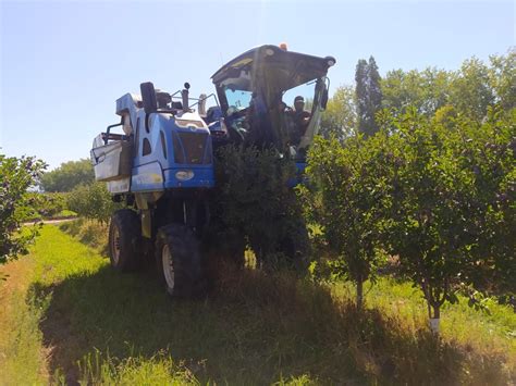 Pti Agroterritorio En Terreno Agroterritorio