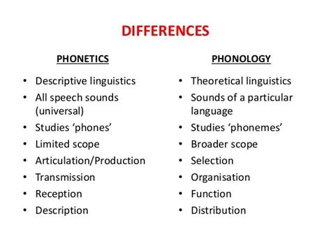 Relationship Between Phonetics And Phonology