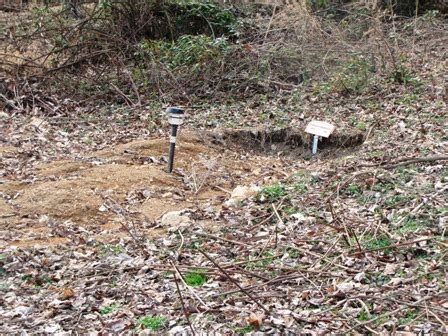 Mcnerling Cemetery Dans Sharps Chapel Tennessee Cimeti Re Find A Grave