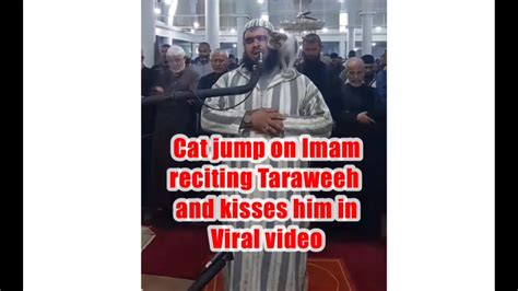 Cat Jump On Imam Viral Video Youtube