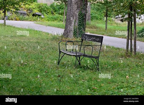 Vienna Austria The Vienna Central Cemetery Bench At The Central