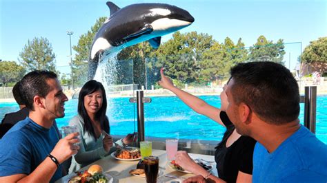 Themeparks Experts Restaurantes En Seaworld San Diego