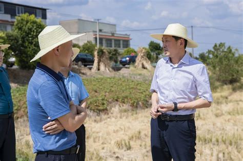 富顺县委书记杨斌调研督导抗旱、森林防灭火工作【川观新闻2022 8 29】 四川林草 关注森林网