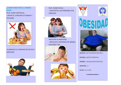 Obesidad Triptico En Español