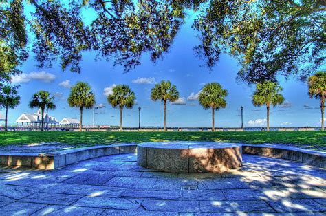 The Park In Charleston Photograph By Tj Baccari Pixels