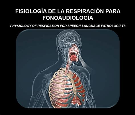 Franklin Susanibar Fisiología de la respiración para fonoaudiología