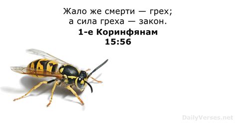 4 сентября 2023 г. - Библейский стих дня - 1-е Коринфянам 15:56 ...