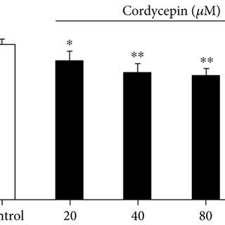 Cordycepin Suppressed The Amplitude Of Ina In A Concentration Dependent