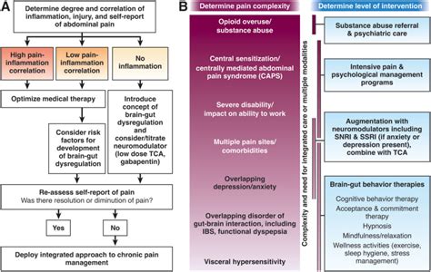 Aga Clinical Practice Update On Pain Management In Inflammatory Bowel