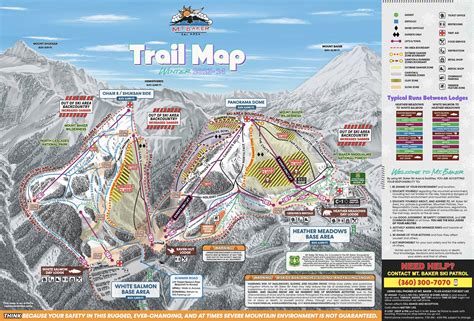 Facts/slope facts for Mount Baker | FindSkiHolidays.com