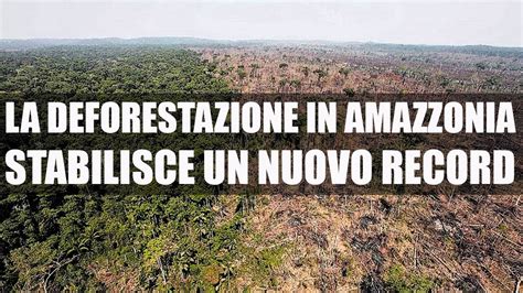 La Deforestazione In Amazzonia Stabilisce Un Nuovo Record Youtube