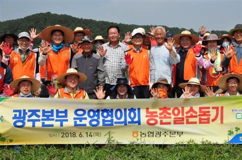 농협광주본부 운영위원회 양파재배농가 수확 일손돕기 뉴스웨이