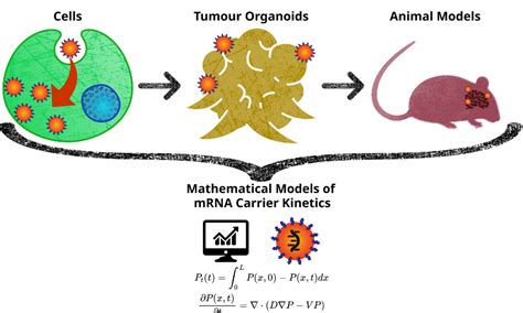 Mrna Victoria Grant For Bioengineers To Fast Track Brain Cancer