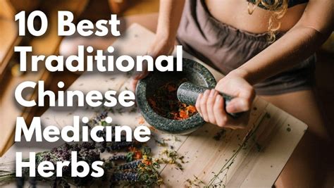 10 Best Traditional Chinese Medicine Herbs For Overall Wellbeing