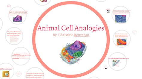 Animal Cell Analogies by Christine Bourdeau on Prezi