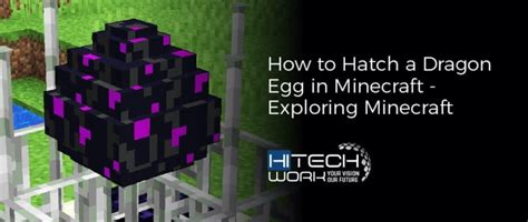 How To Hatch A Dragon Egg In Minecraft All You Need To Know