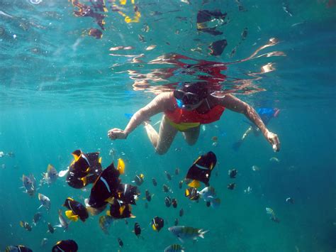 Cabo Pulmo Snorkelling Tour Musement