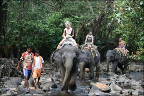 Bhagwan Mahavir Wildlife Sanctuary South Goa District What To