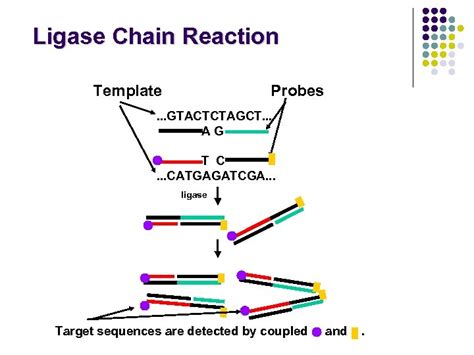 Chapter Nucleic Acid Amplification Techniques Donna C