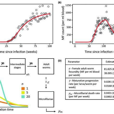 Patterns Of Loa Loa Infection By Human Host Age And Sex In The Download Scientific Diagram