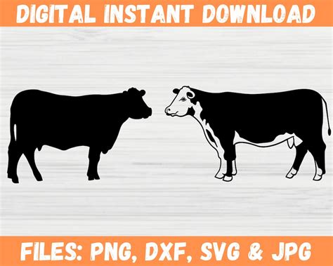 Beef Cattle Svg Farm Animal Livestock Cow Silhouette Clipart Design