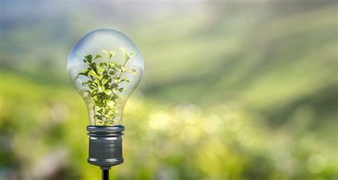 La Auténtica Energía Verde Plantas Que Generan Electricidad Chile