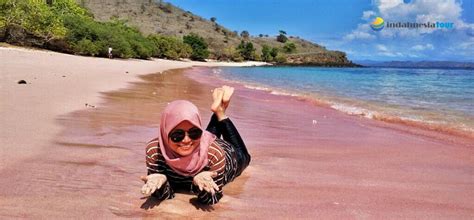 Komodo National Park Archives Indahnesia Tour