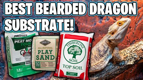 Best Substrate For Bearded Dragons Youtube