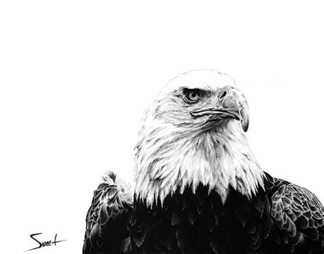 Bald eagle oil painting by artist Eric Sweet Shark Painting, Eagle Painting, Birds Painting, Art ...