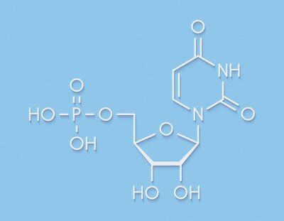 Salpetersäure hno3 molekül chemische struktur hno3 ist ein